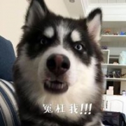 【每周香港六合彩竞猜活动】