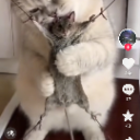 【每周香港六合彩竞猜活动】